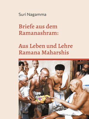 cover image of Briefe aus dem Ramanashram